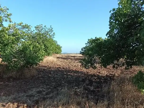 Residencial en venda en Barcarrota