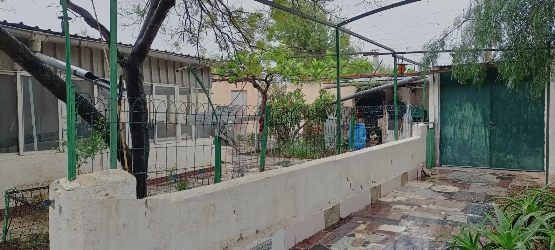 Terreno rústico en venta en Lorca Ciudad, imagen 5