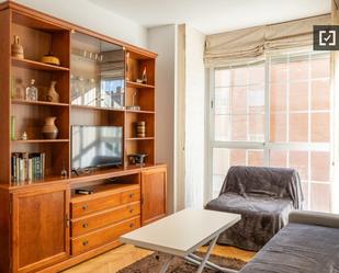 Living room of Flat to rent in  Madrid Capital  with Air Conditioner, Heating and Internet