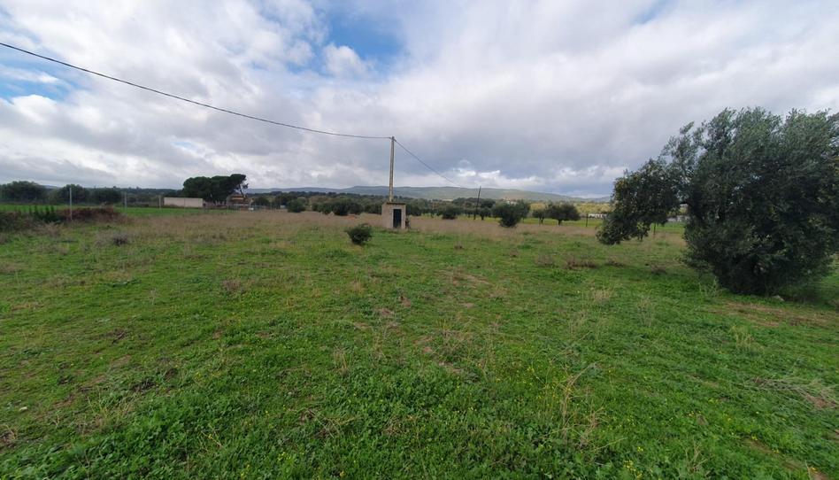 Foto 1 de Finca rústica en venta en Aldea del Fresno, Madrid