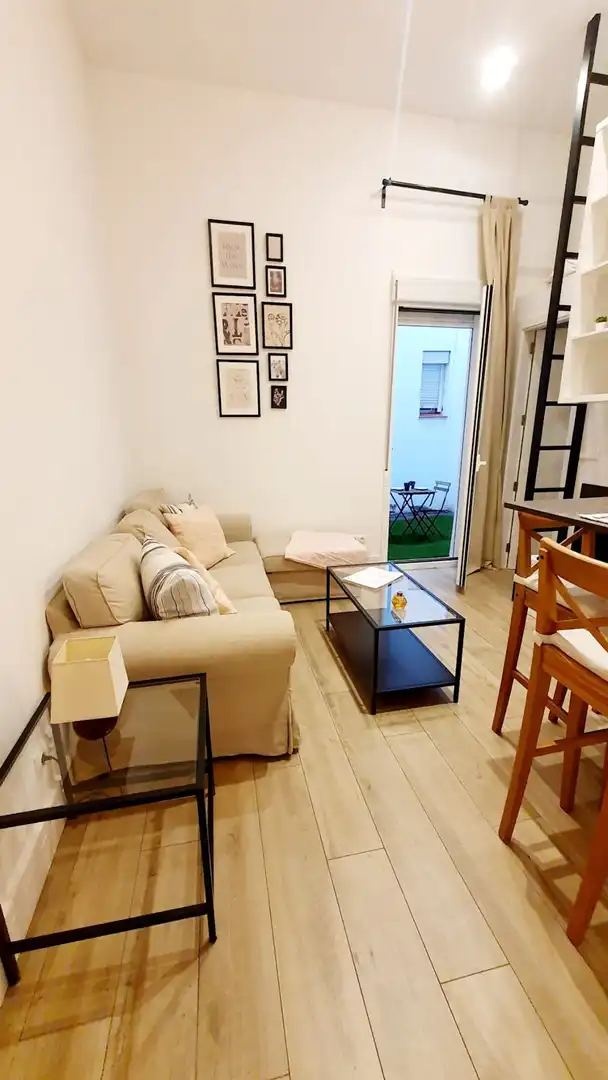 Living room of Flat for rent in Madrid  with Air Conditioner, Heating and Private garden