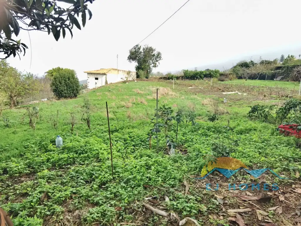 Houses for sale in La Orotava