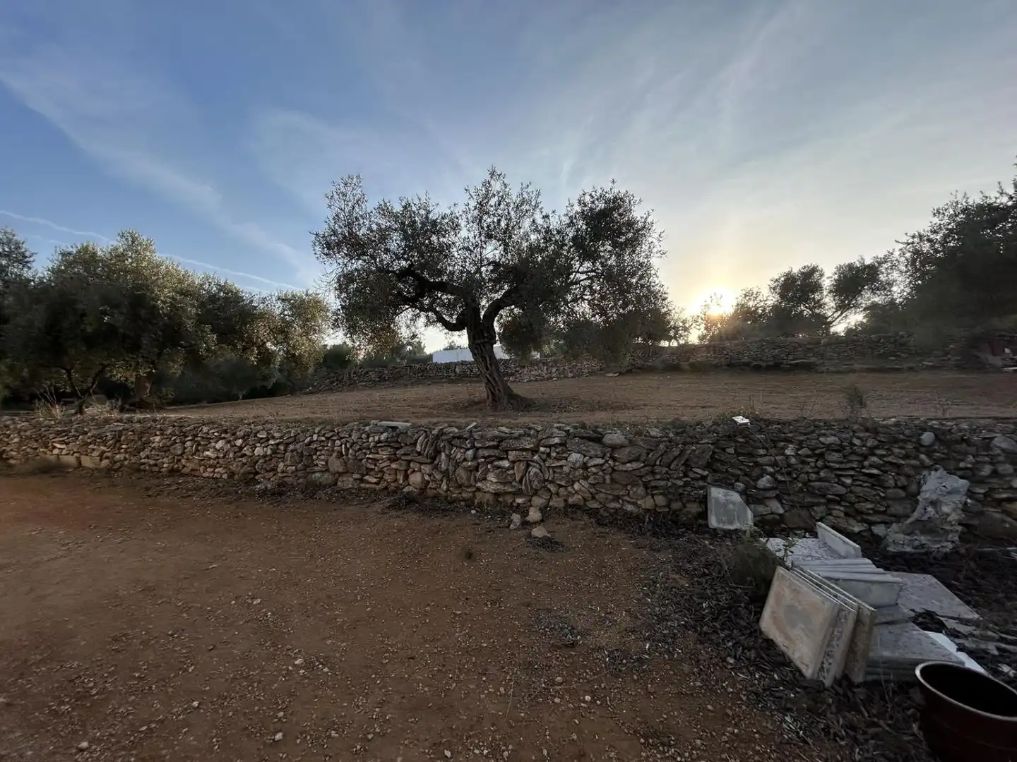 Finca rústica en venda en Masdenverge