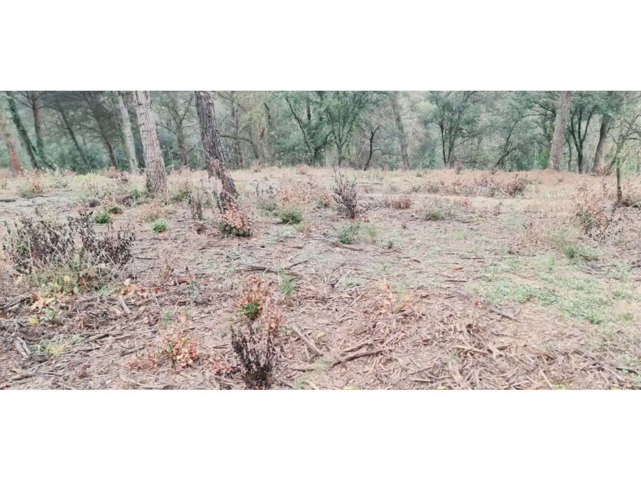 Rural land for sale in Lliçà d'Amunt, imagen 126