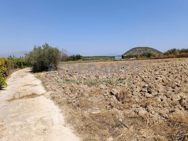 Terreno rustico in vendita a Partida Ballestero