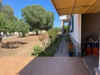 Jardín de Finca rústica en venta en Fuente Álamo de Murcia con Calefacción, Jardín privado y Trastero