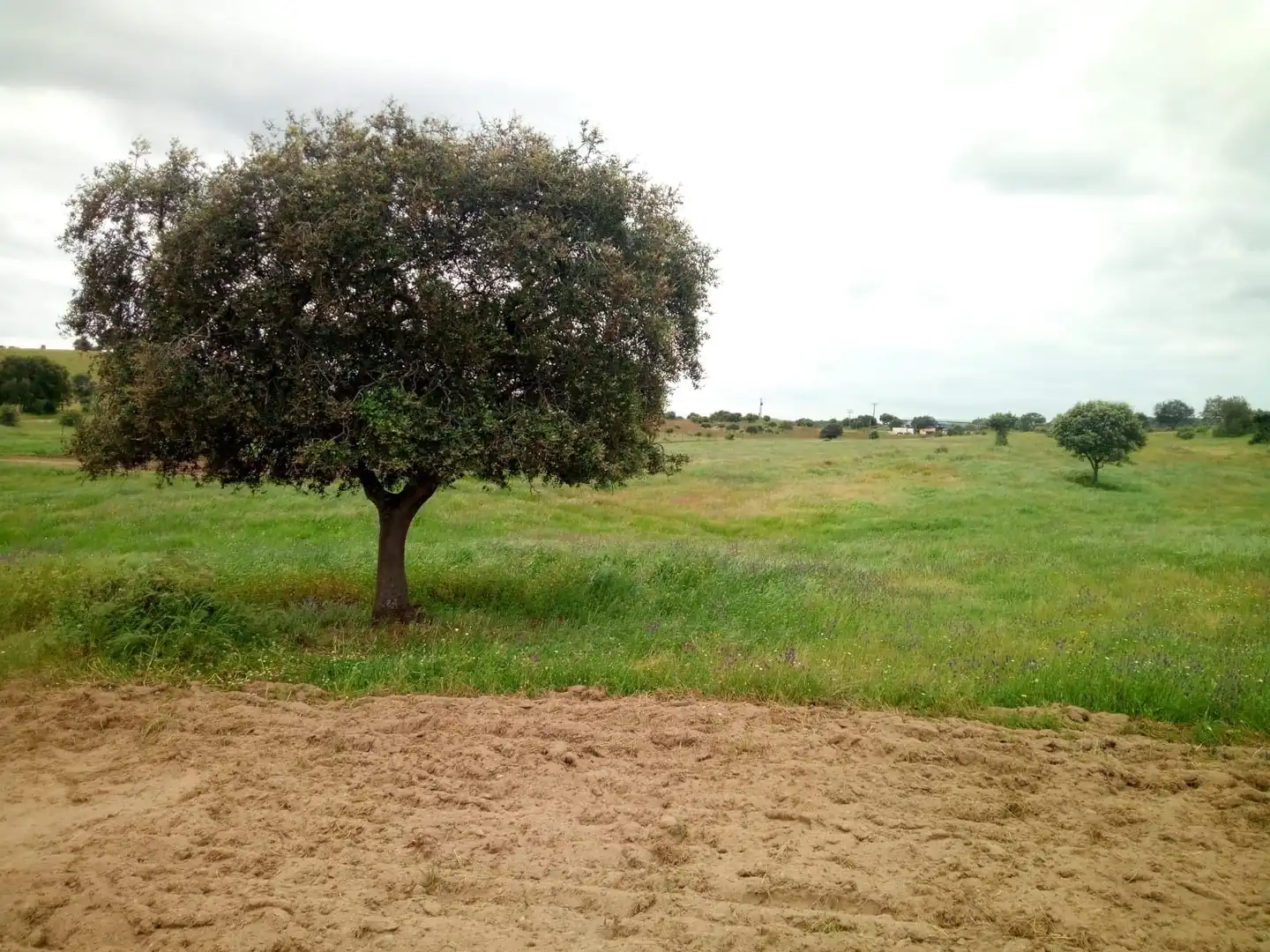 Terreni e lotti in vendita a Oropesa, imagen 6