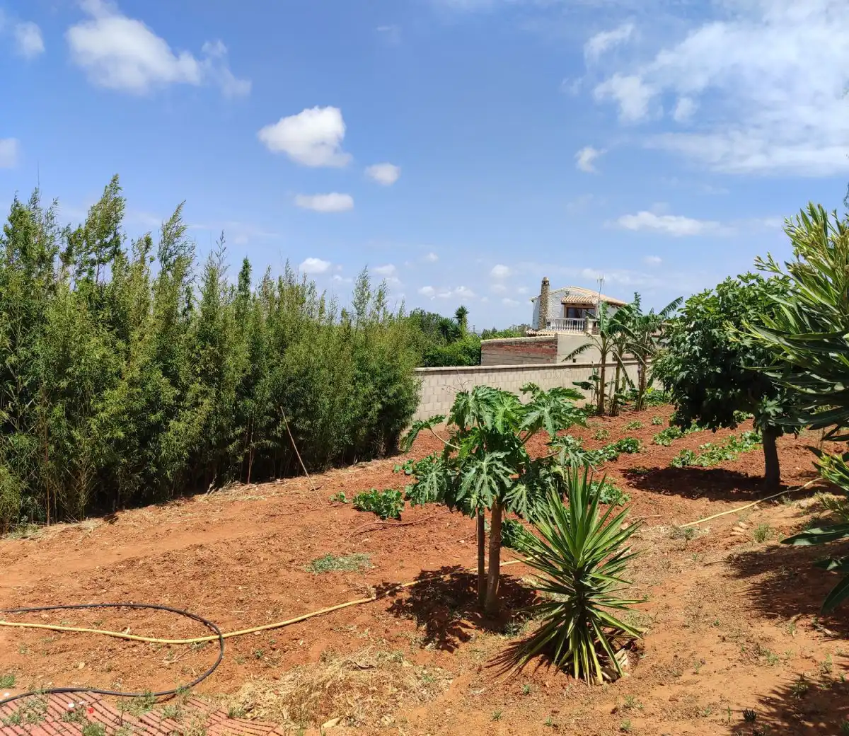 Detached house for sale in Barrio Nuevo, imagen 40