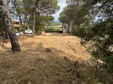 Terreno residencial en venta en Carrer del Solsones 19