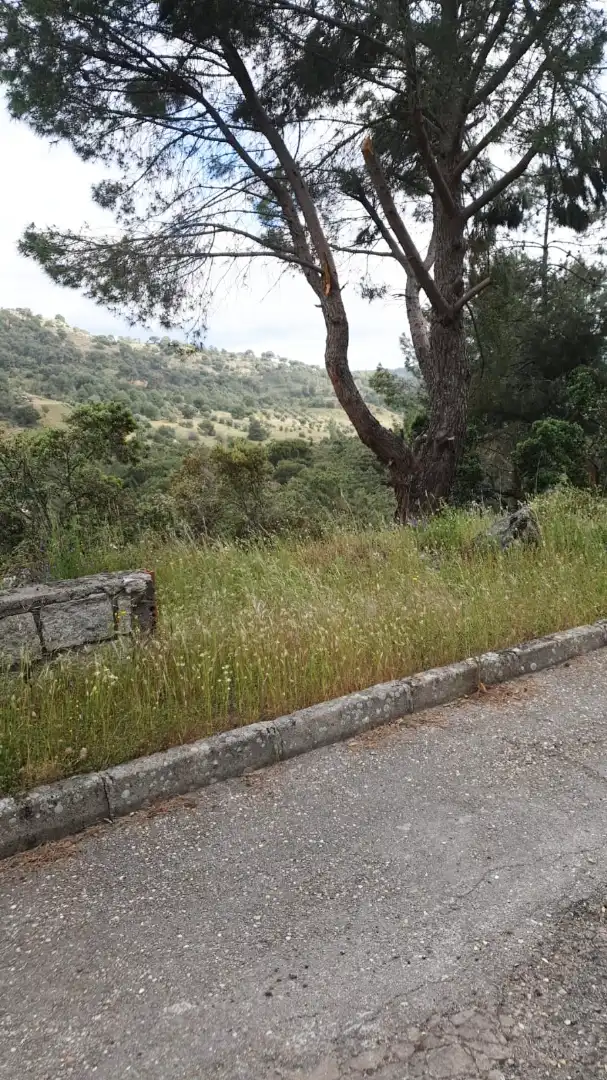 Residential land for sale in Calle Fuente la Peluquera 358, imagen 4
