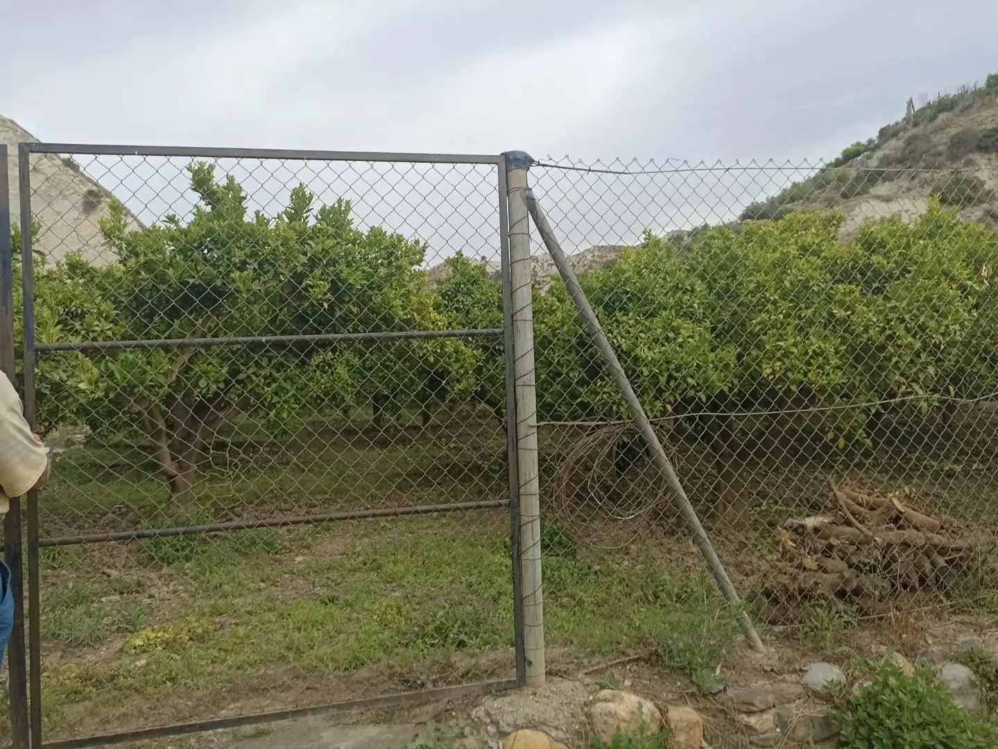 Terreny rústic en venda a molino del medio