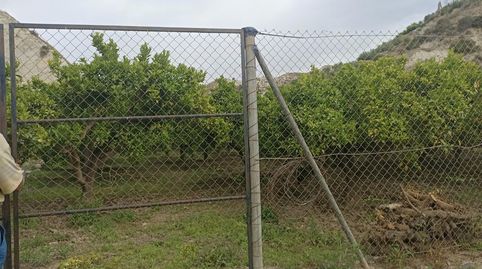 Terreno de naranjos canjayar PARAJE EL MAJUELO con olivos y arboles frutales y agua de la comunidad