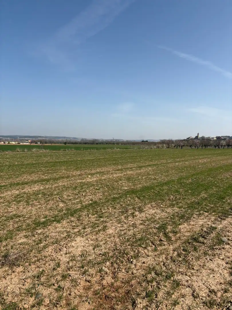 Terreno rustico in vendita a Arrúbal, imagen 3
