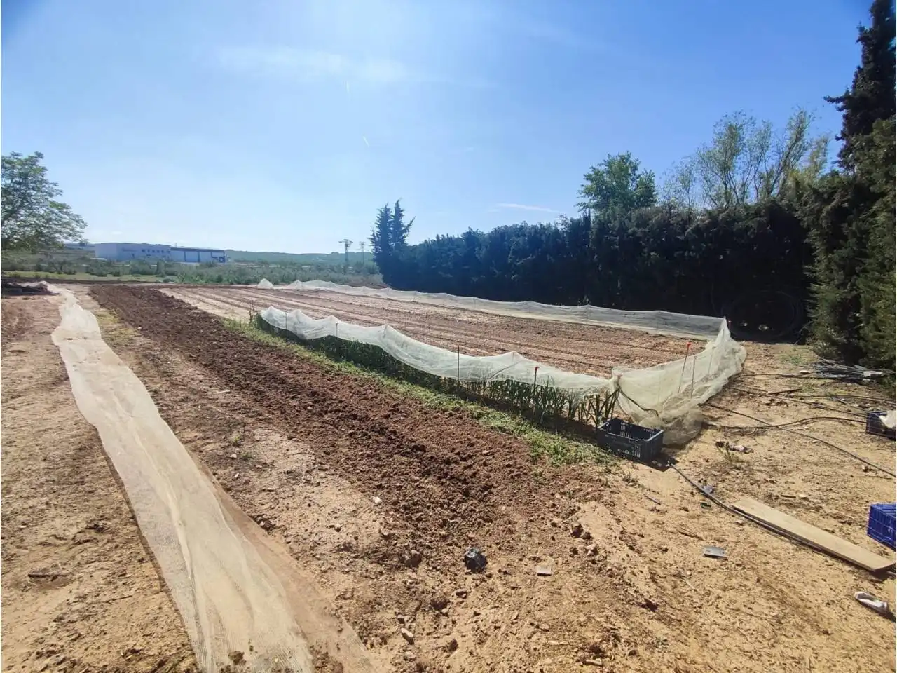 Terreno en venta en Zaidín