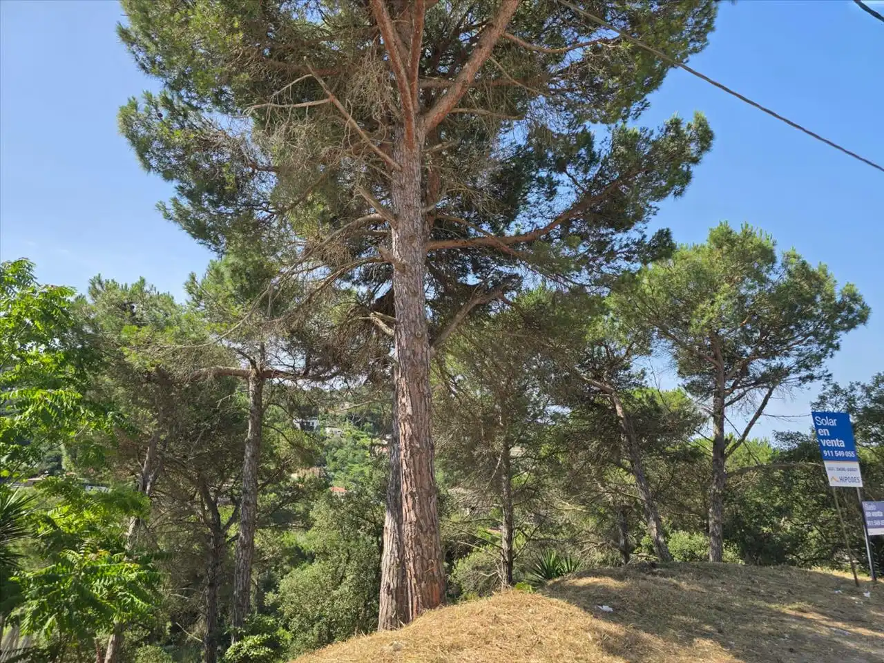Rustikales Grundstück zum Verkauf in Avinguda de la Senyera, 4, Lloret de Mar, Spain, imagen 20