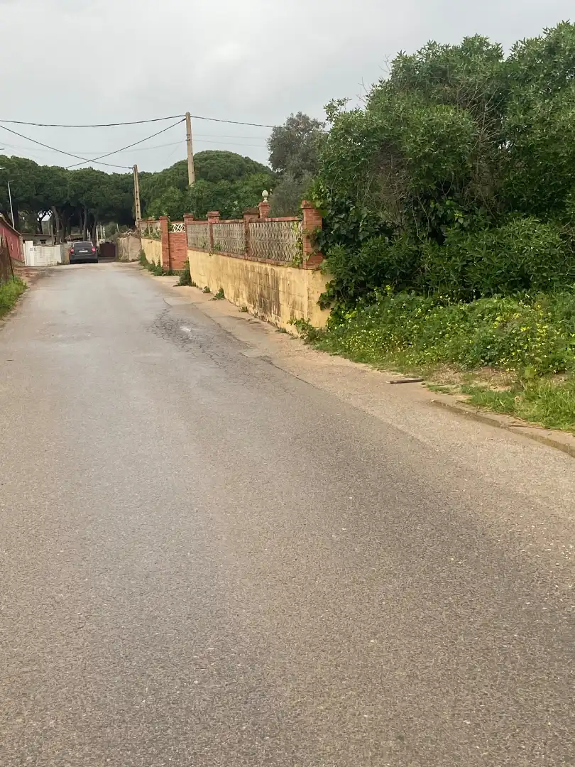 Terrenys i solars en venda a Camino del Lagar 29, imagen 6