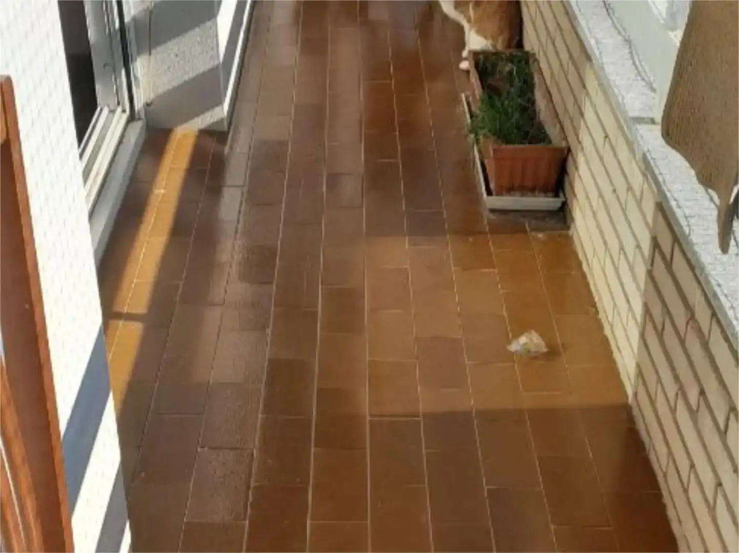 Terrassa de Pis en venda en Sentmenat amb Balcó