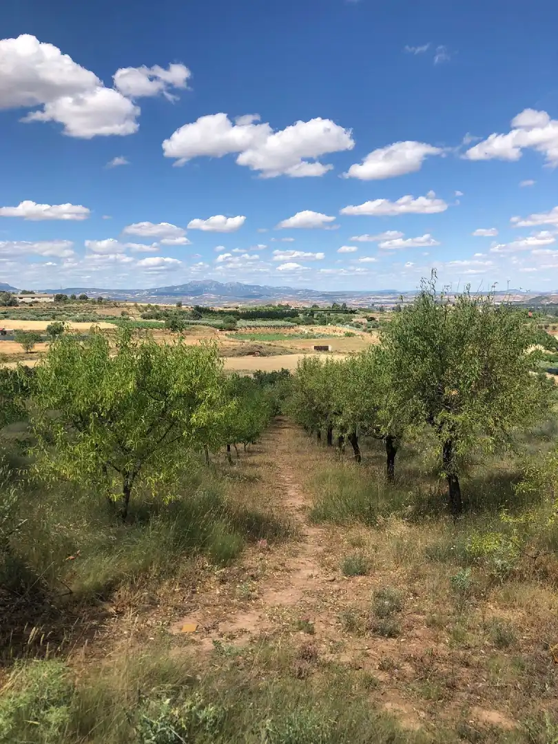 Rural land for sale in Lardero
