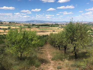 Terreno rústico en venta en Lardero