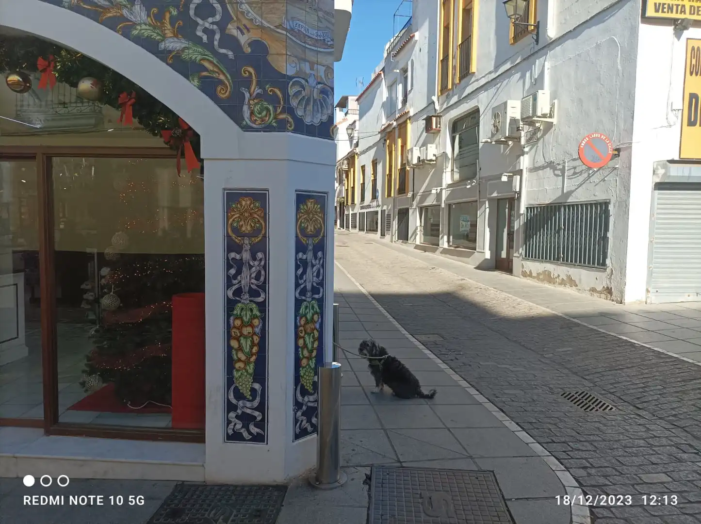 Gewerbefläche zur Miete in Zafra