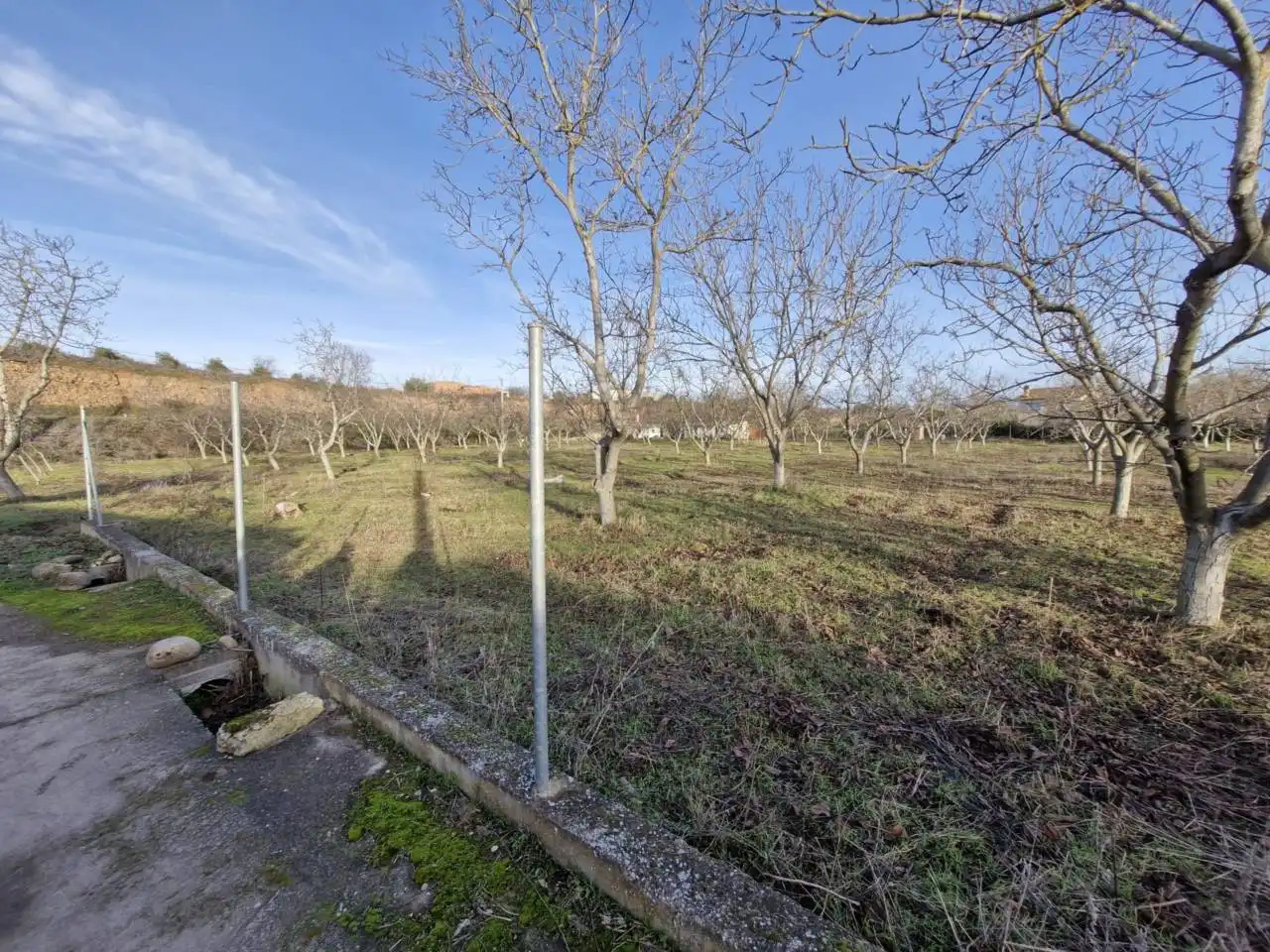 Rural land for sale in Calle DISEMINADO, imagen 17