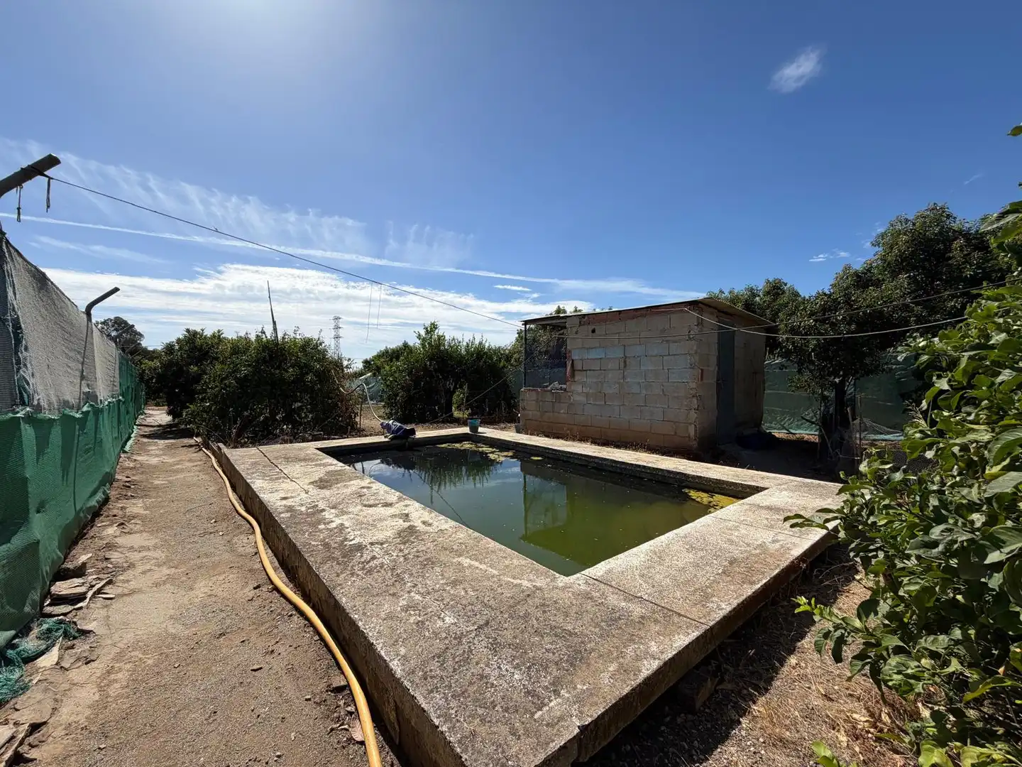 Piscina de Residencial en venta en Selwo
