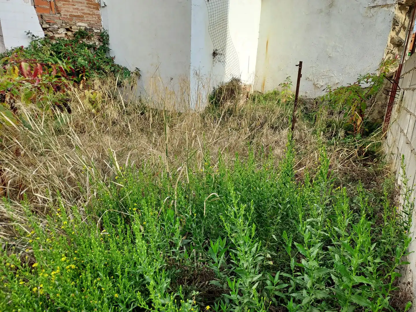 Terreni e lotti in vendita a Casco Antiguo, imagen 3