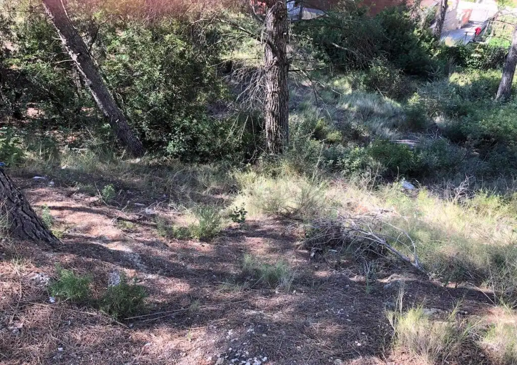 Rural land for sale in PENEDÈS, imagen 6