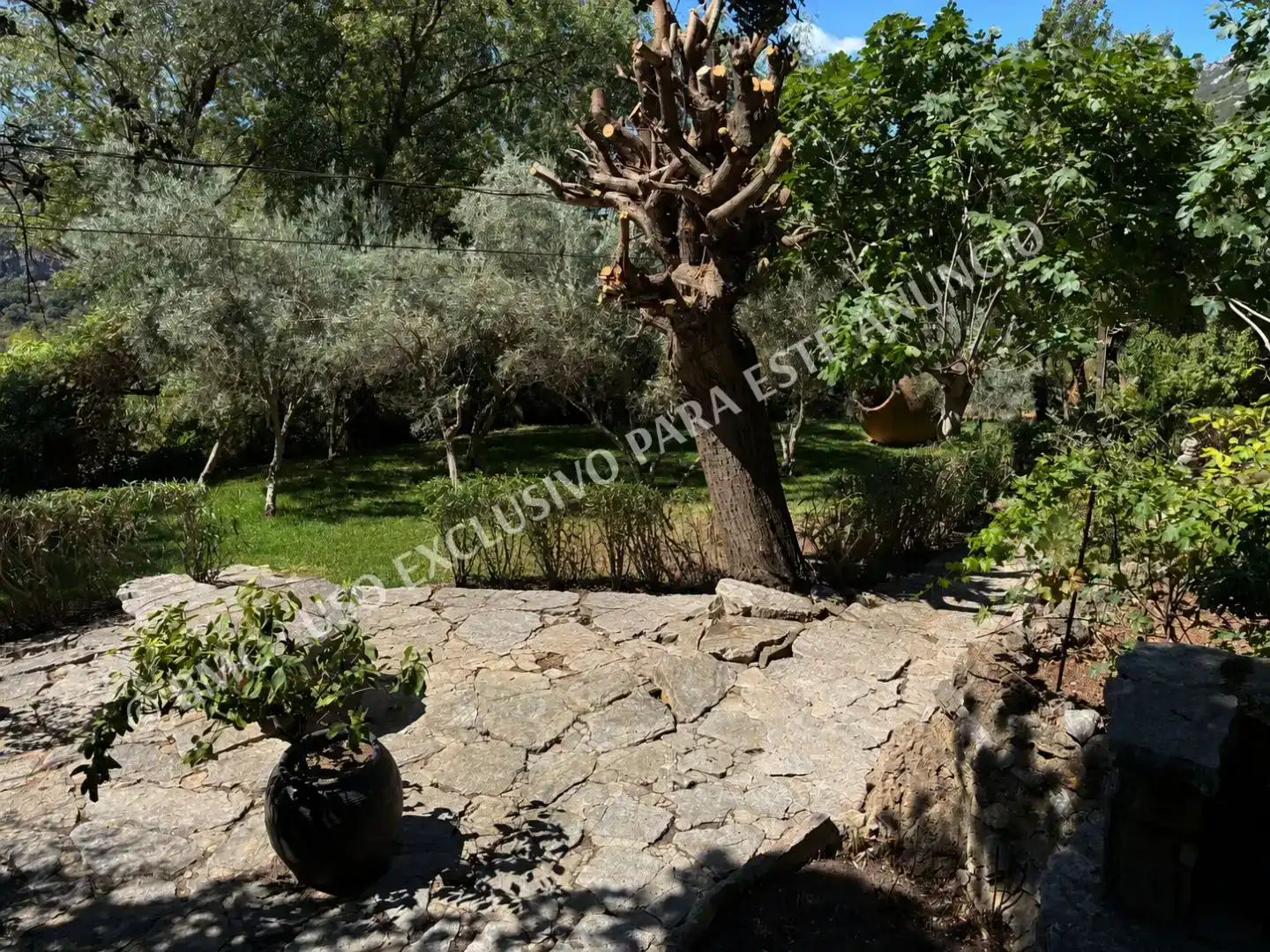 Garten von Country house zum Verkauf in Colmenar mit Schwimmbad und Balkon