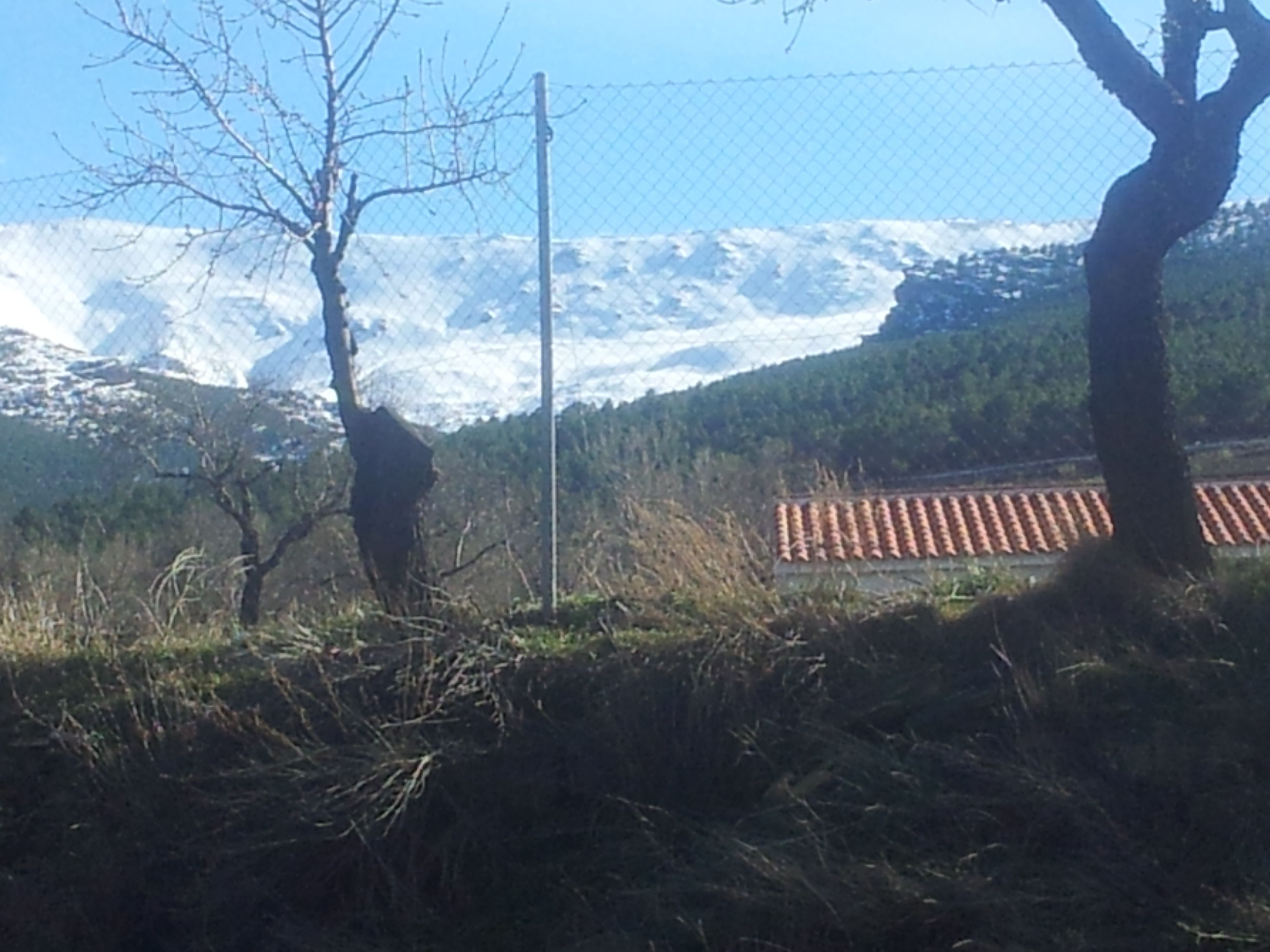 Exterior view of Land for sale in Lanteira