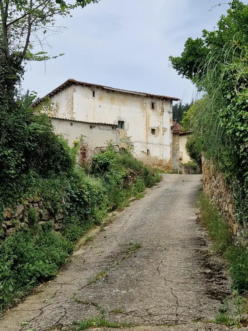Vista exterior de Finca rústica en venda en Valle de Mena amb Jardí privat