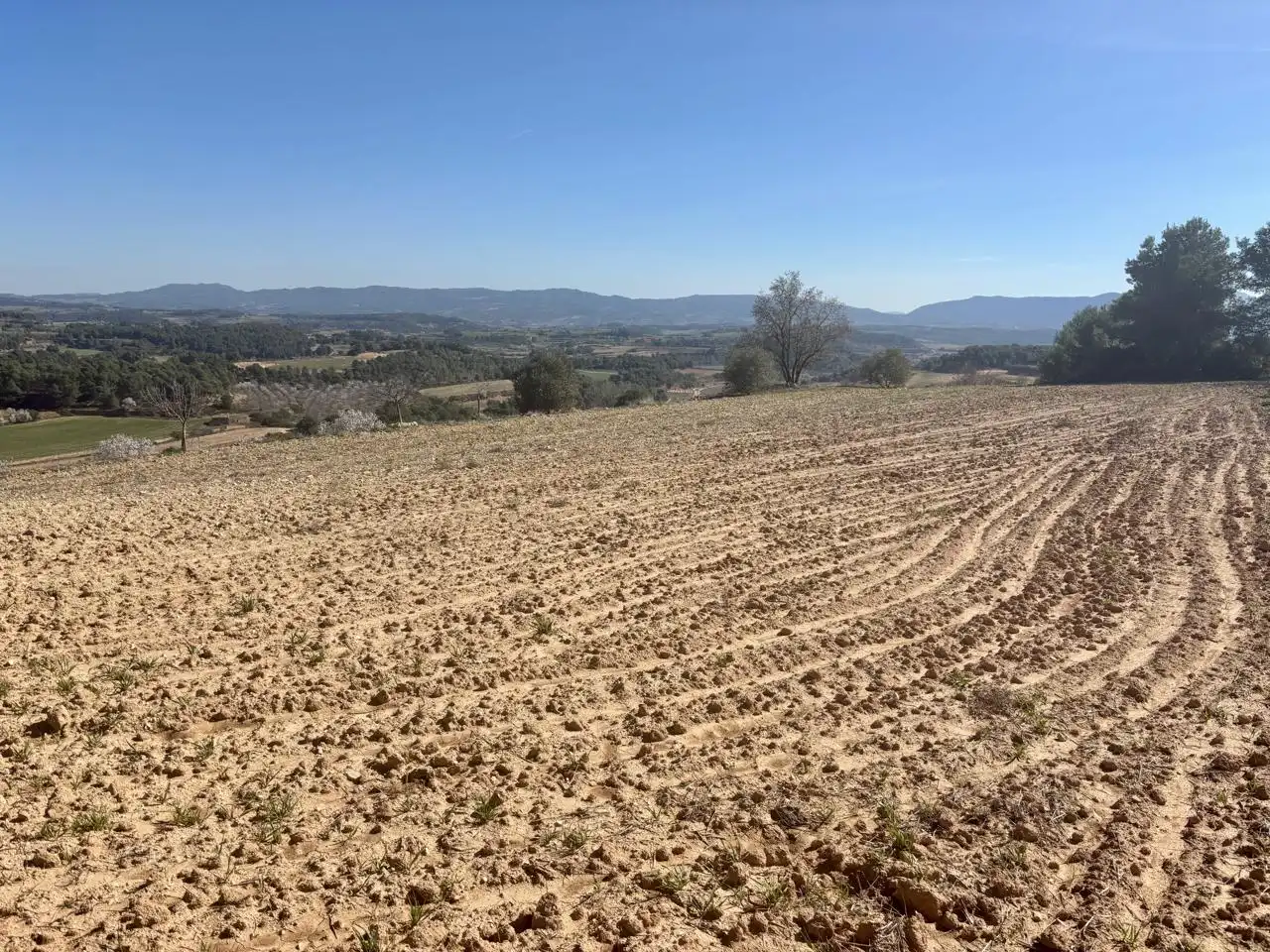 Terreno en venta en Solivella