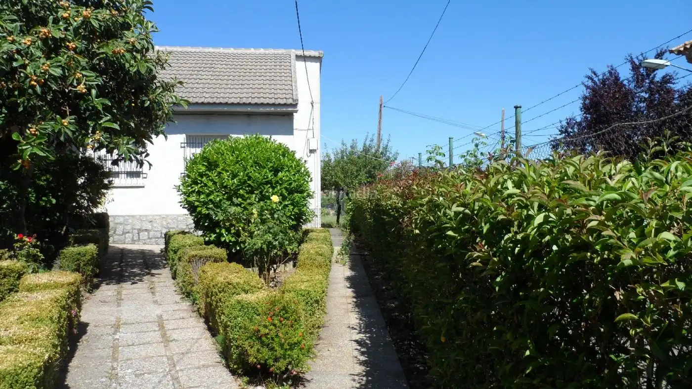 Chalet con jardín en venta en Calle Matadero 5, imagen 13