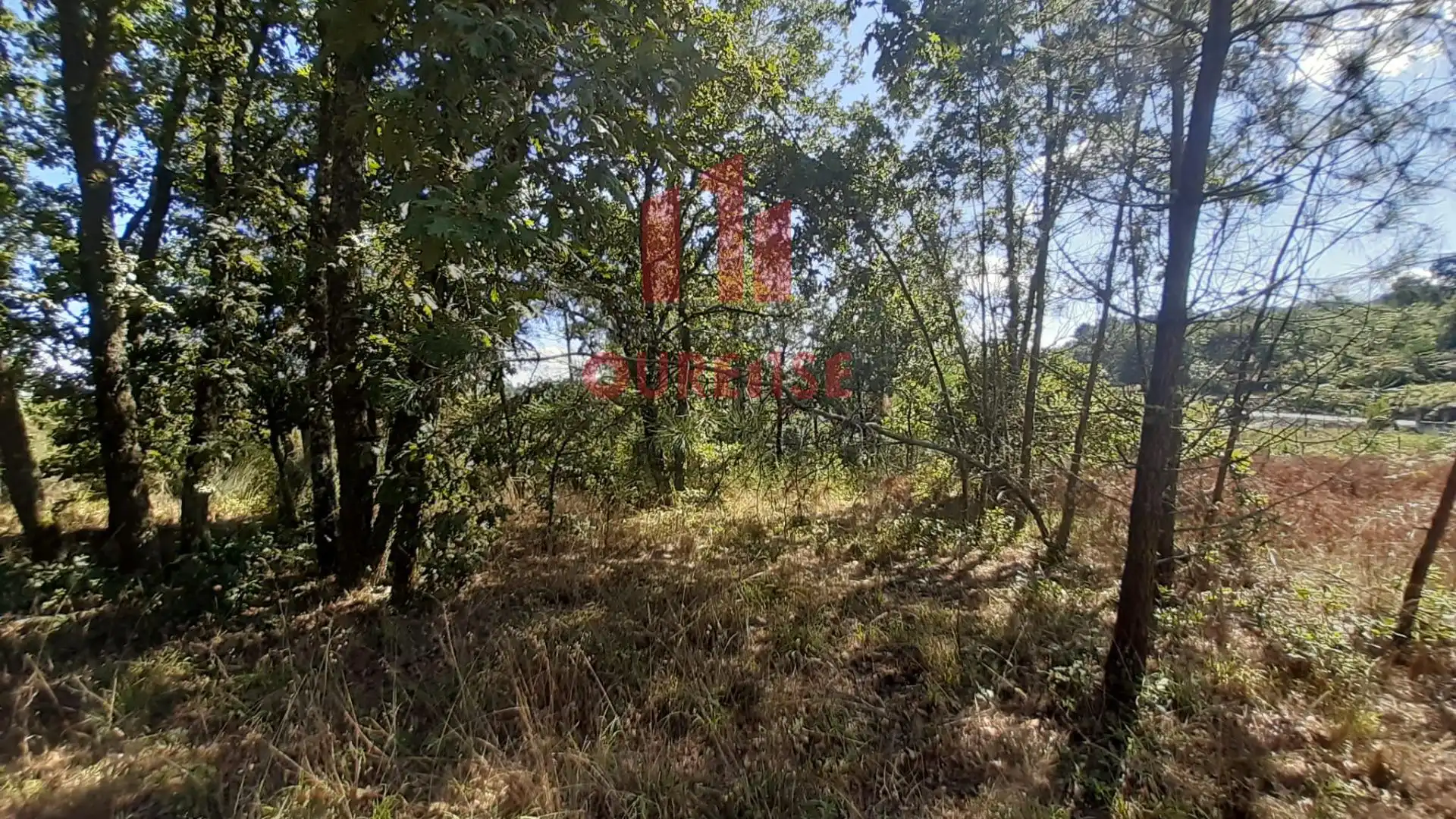 Terreni e lotti in vendita a Toén, imagen 4
