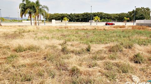 TERRENO URBANO EN PLAYA MIRAMAR, immagine 2