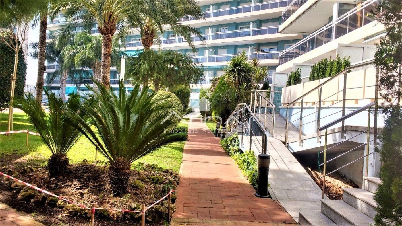 Exterior view of Apartment for sale in Gandia  with Private garden, Terrace and Community pool