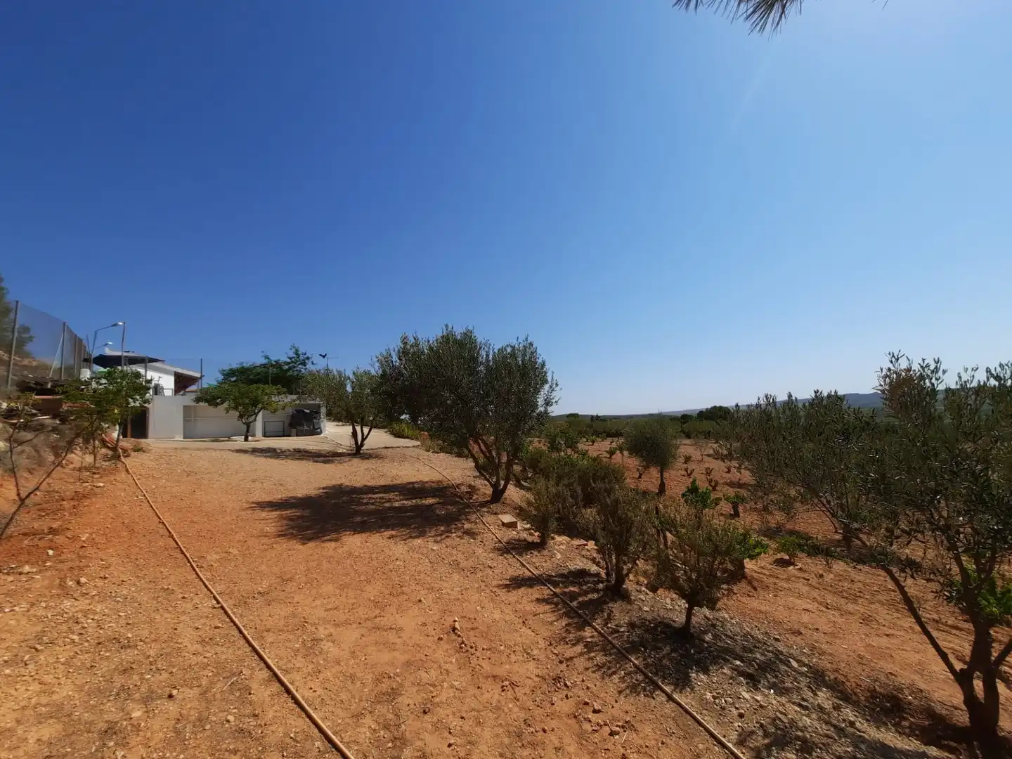 Casa amb piscina en venda a Montealegre del Castillo, imagen 31