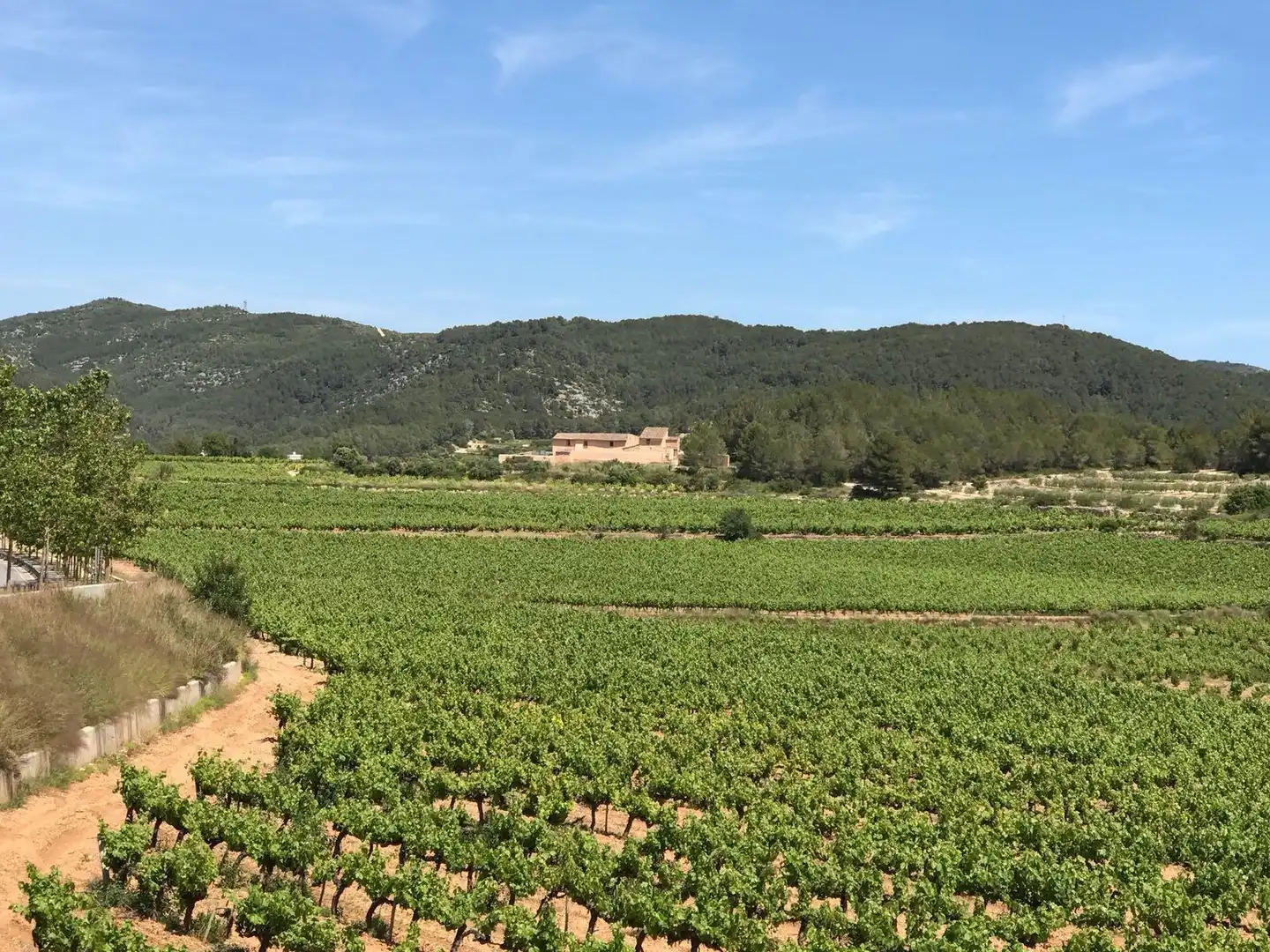 Exterior view of Land for sale in Sant Pere de Ribes