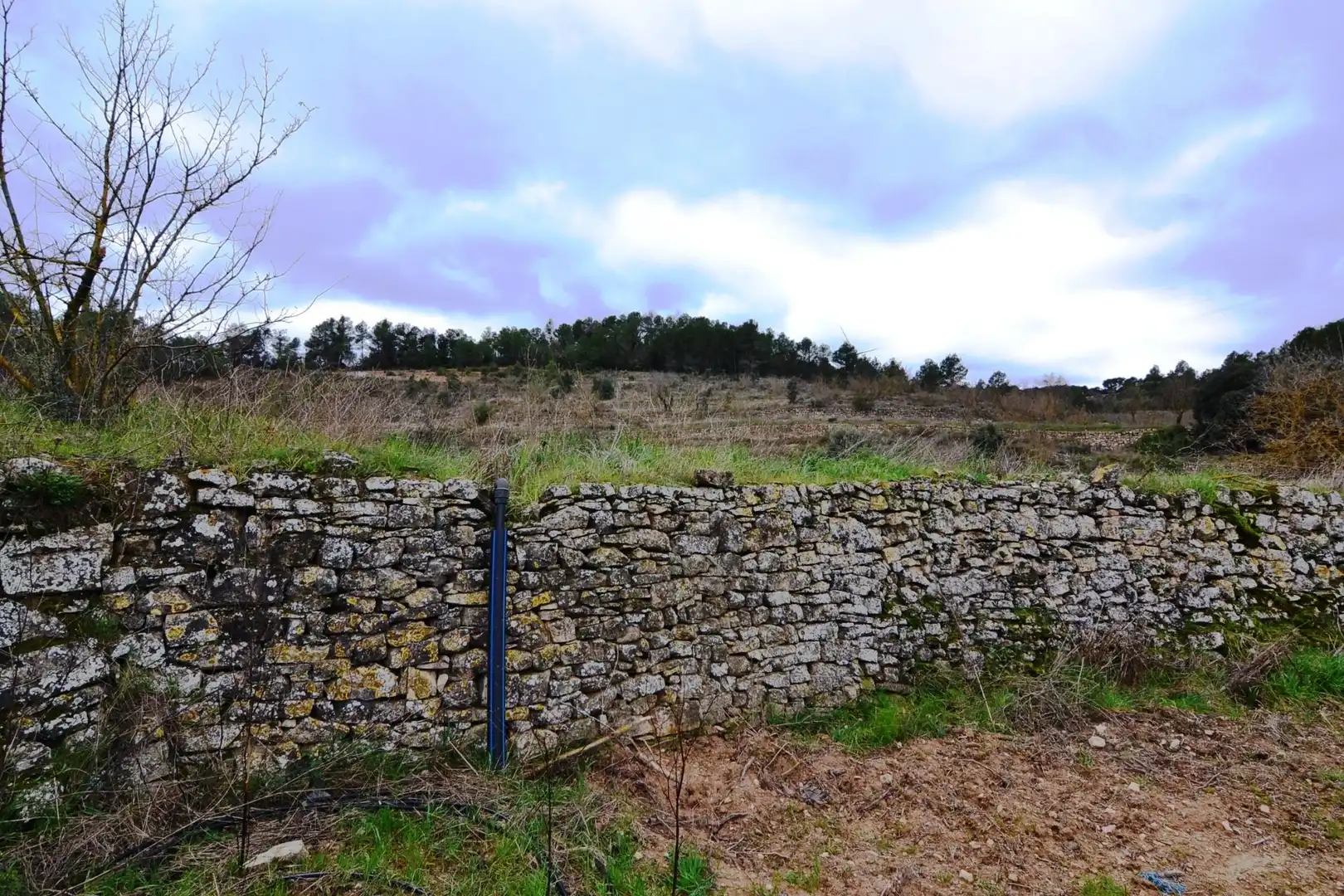Terreno en venta en Vilalba dels Arcs