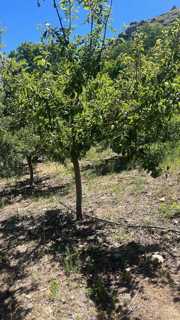 Terreni e lotti in vendita a Nigüelas, imagen 32