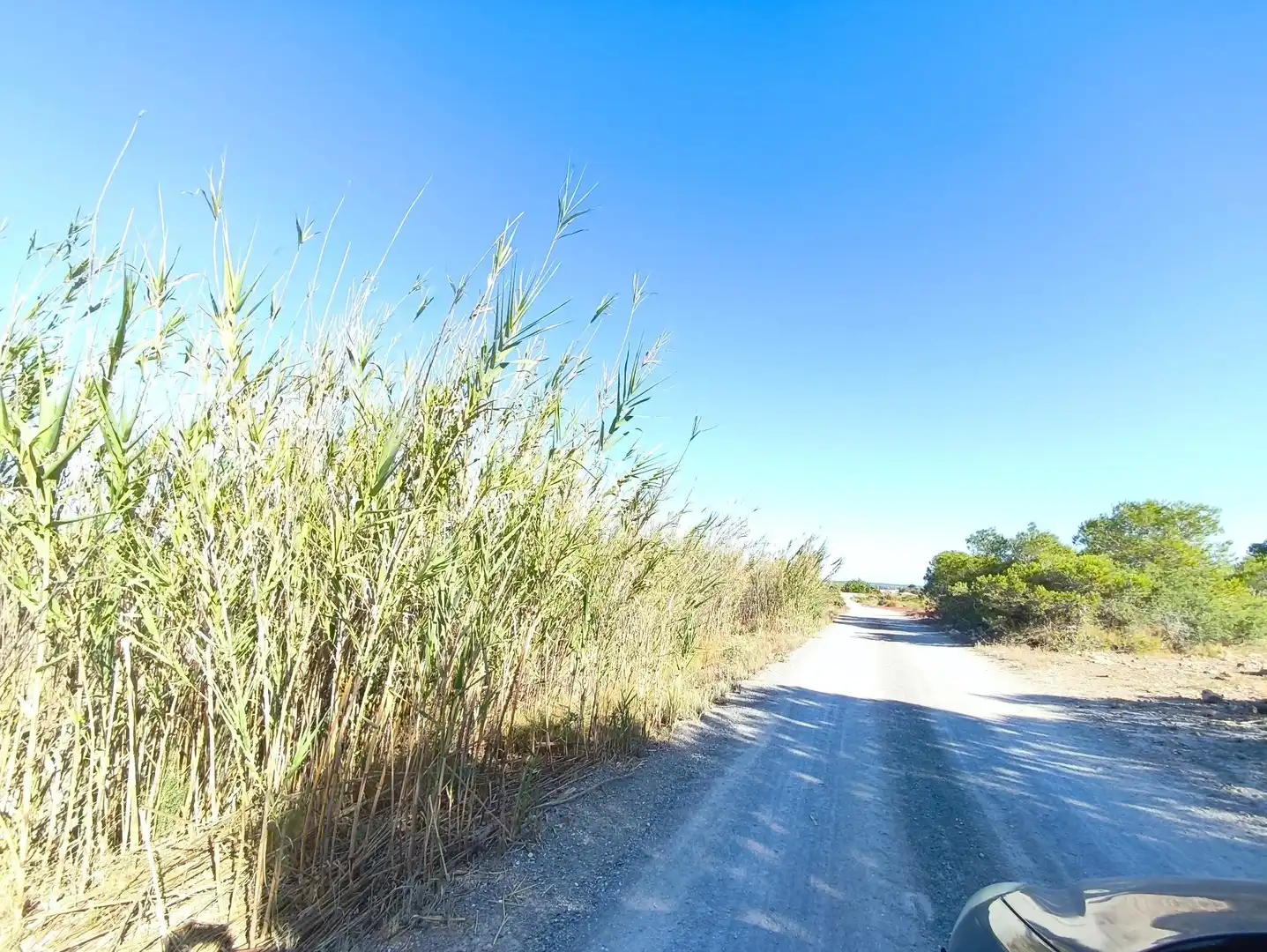 Terreno residencial en venta en Polígono POLIGONO 126 BALSARES 126, imagen 3