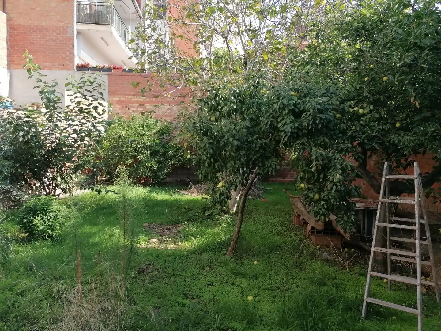 Terreno residenziale in vendita a Carrer de Francesc Casañas, imagen 6