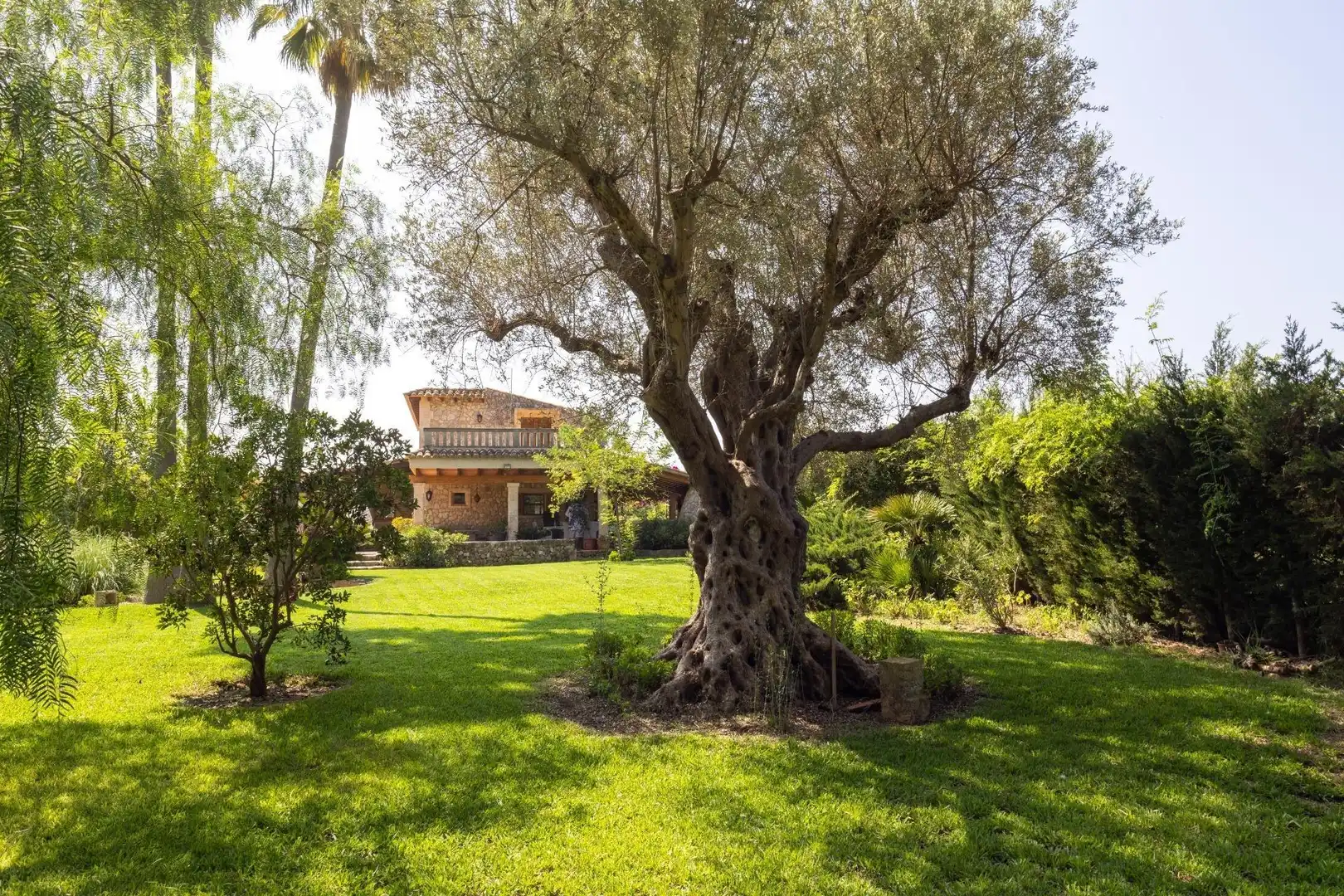 Casa con piscina in vendita a Pollença Poble, imagen 13
