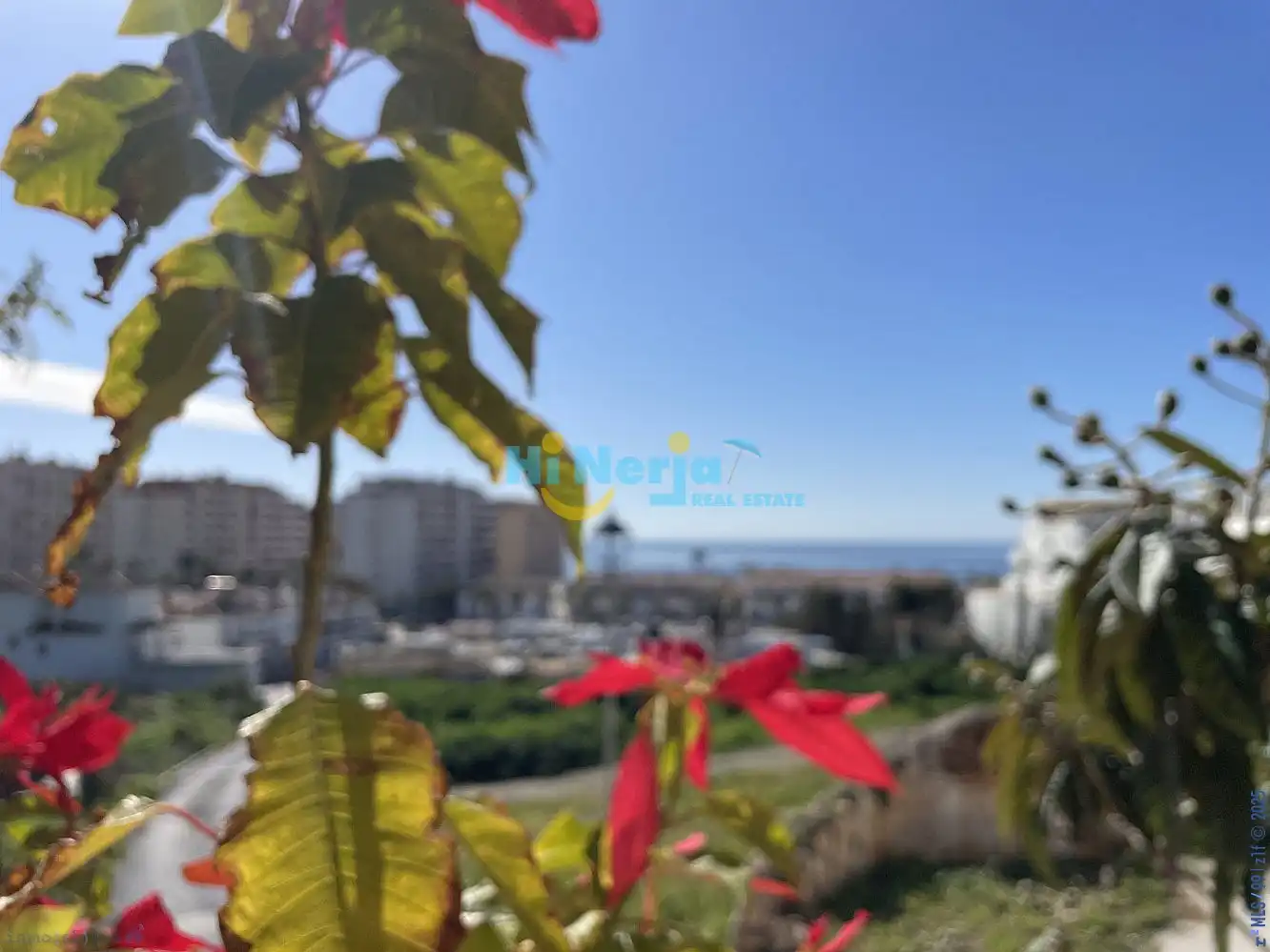 Maison à vendre à El Peñoncillo, imagen 5