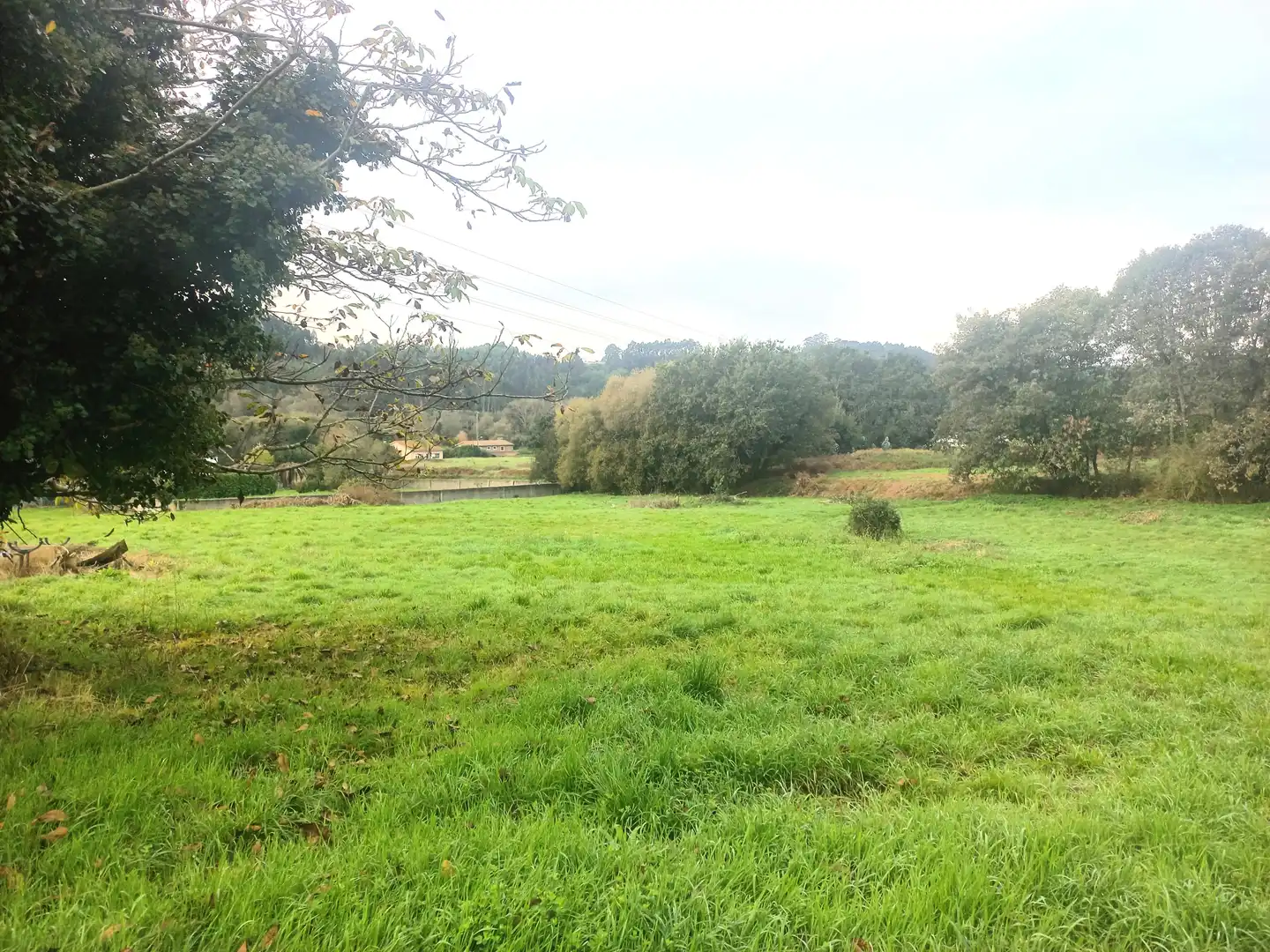Terreni e lotti in vendita a Rúa Armental