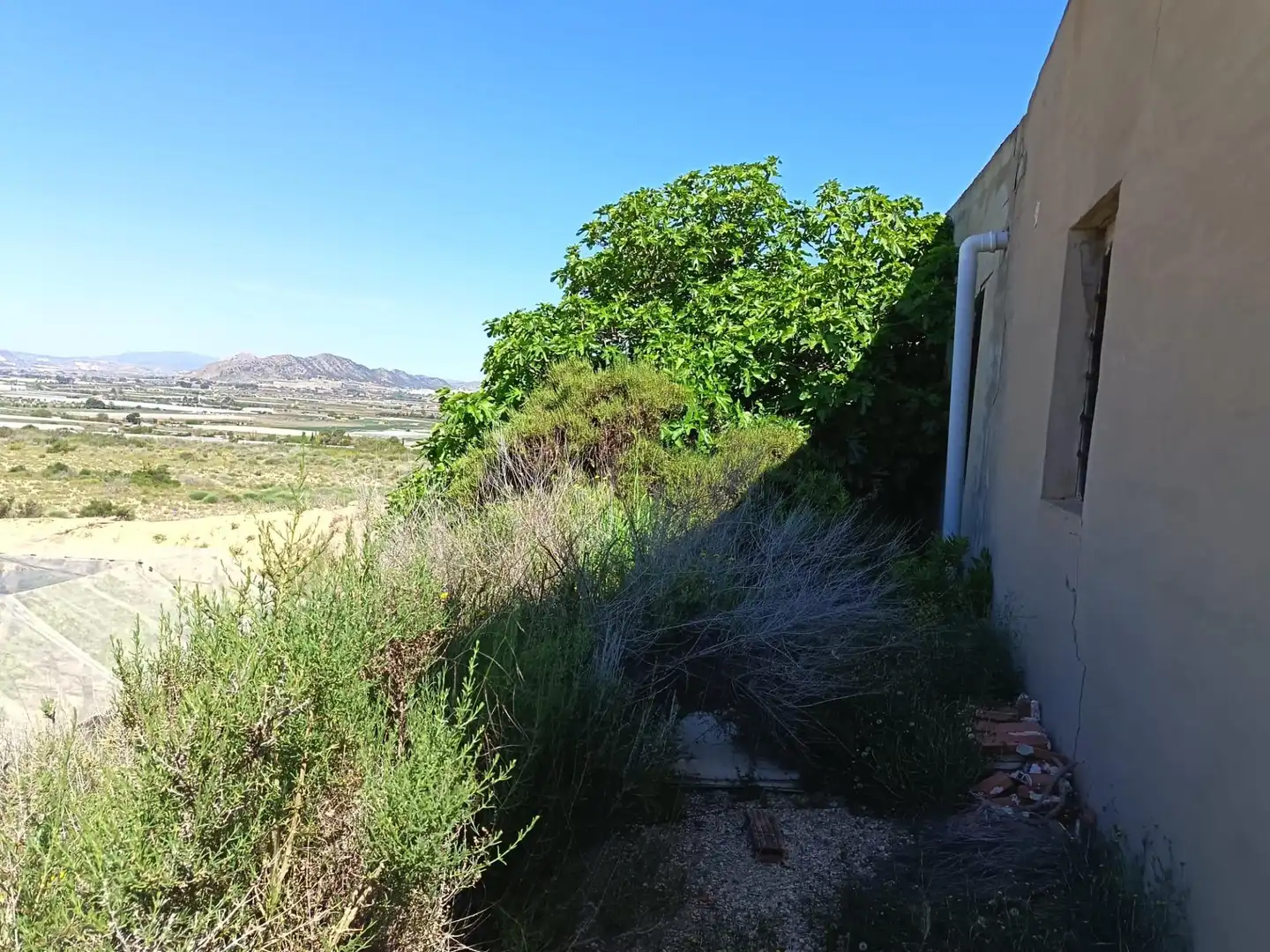 Terreno rústico en venta en Monforte del Cid, imagen 14