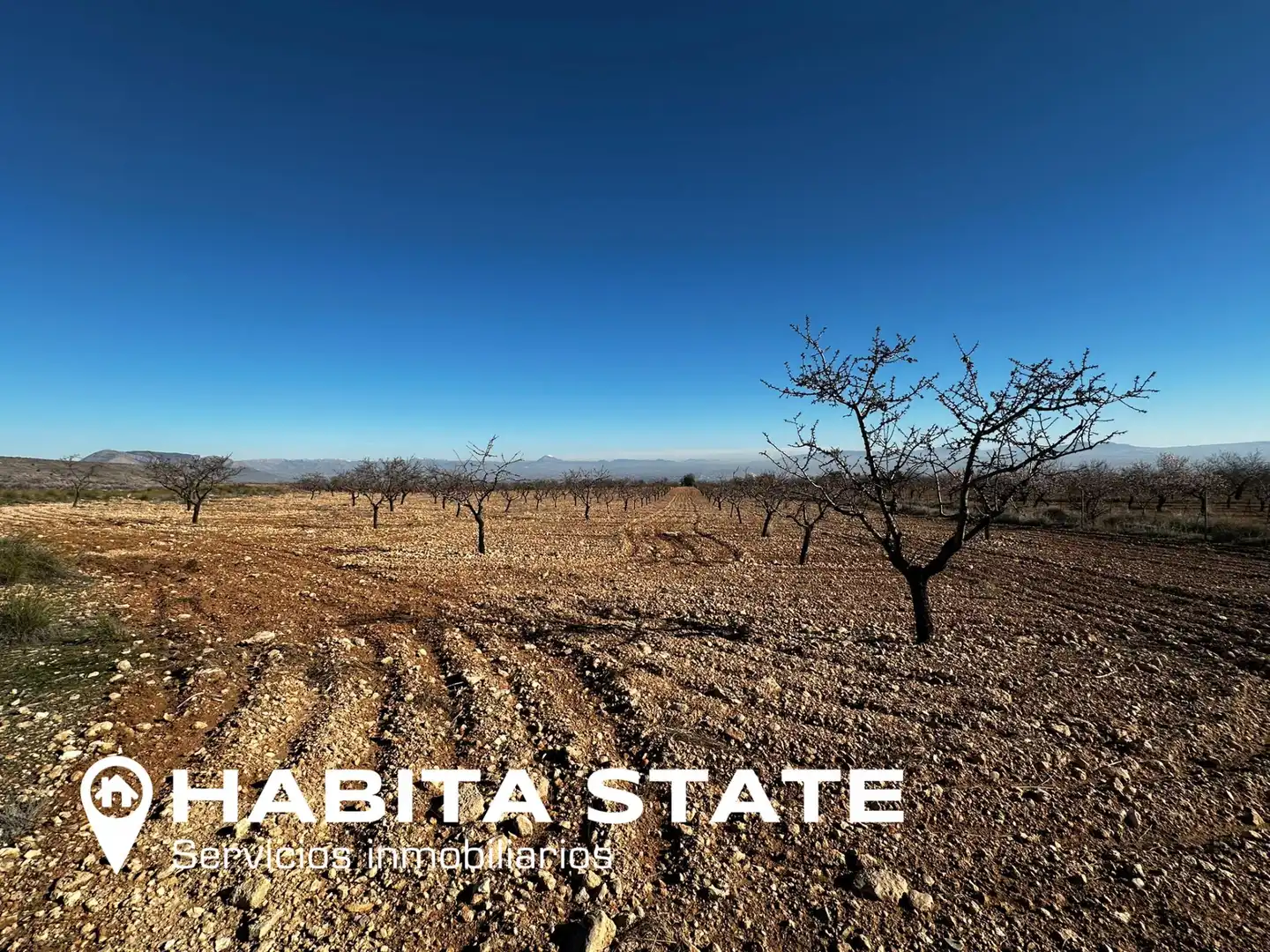 Land for sale in Baza