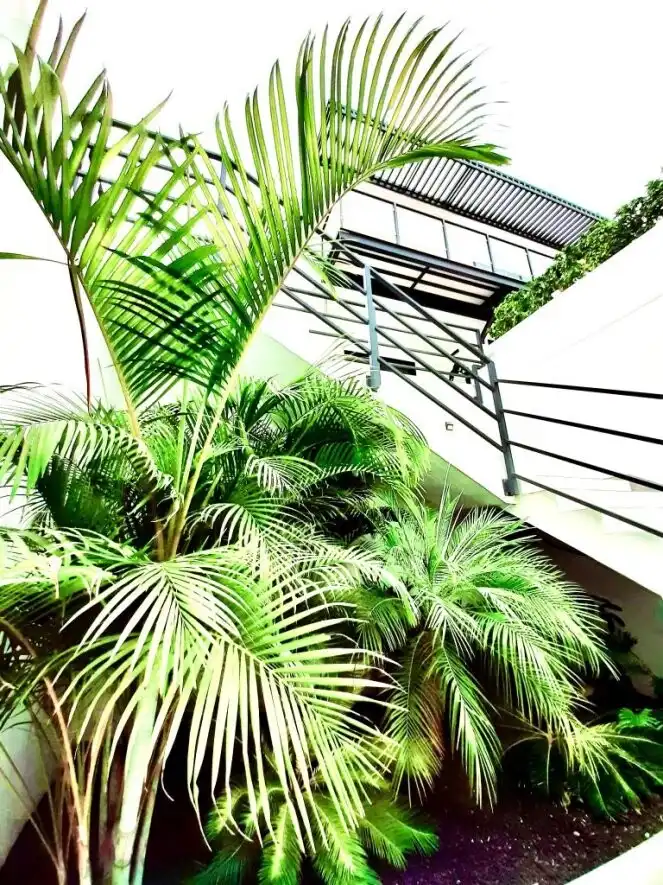 Maison à vendre à Fañabé - Ifonche y Benítez, imagen 29