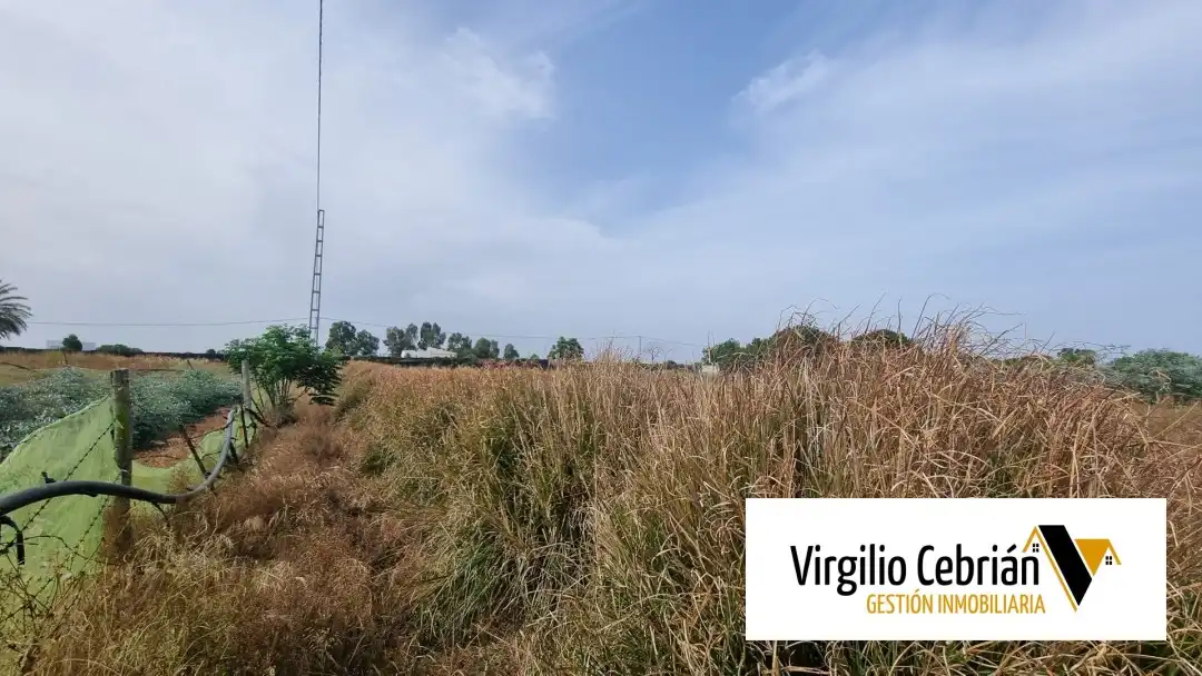 Casa rustica con giardino in vendita a Las Tres Piedras - Costa Ballena, imagen 4