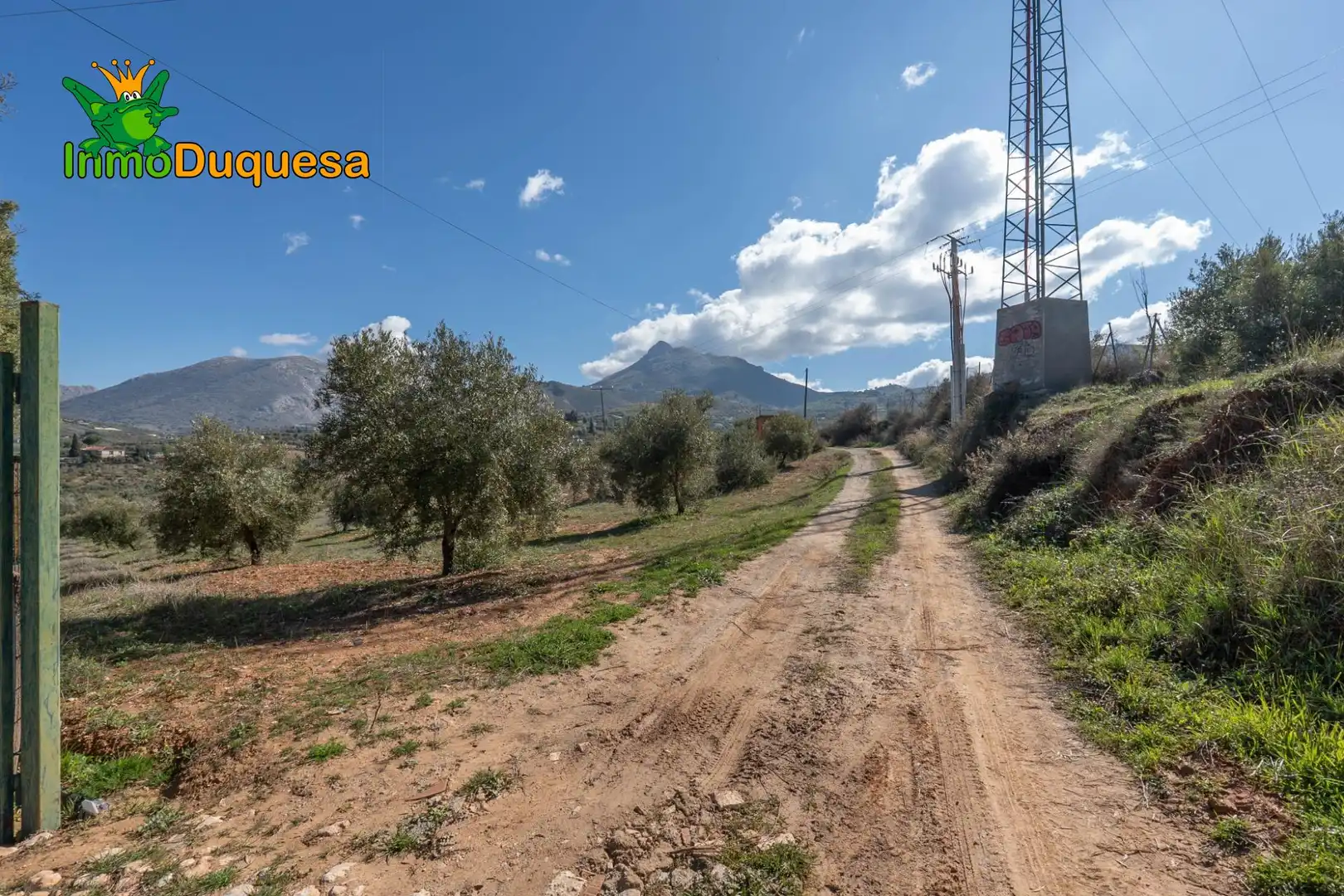 Casa rústica en venda a Cogollos de la Vega, imagen 6